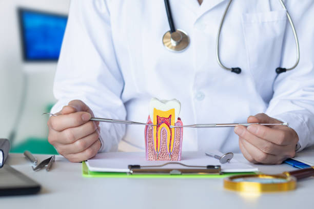 Best Pediatric Emergency Dentist in Romeovle, IL